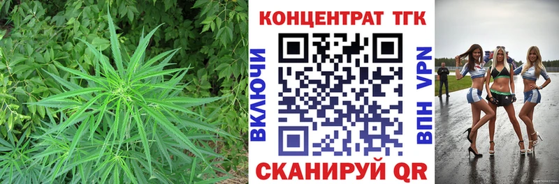 ТГК вейп  KRAKEN сайт  Куровское 